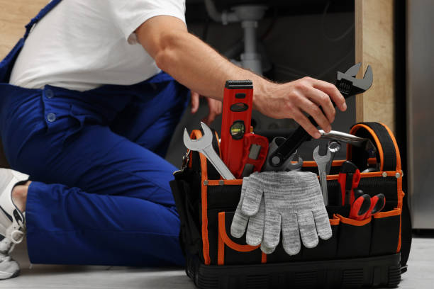 Best Affordable Plumbing Services  in Delavan, WI